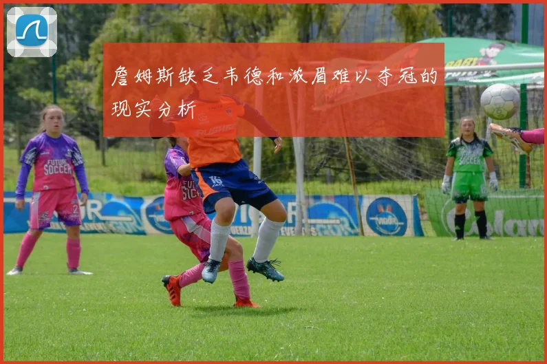 詹姆斯缺乏韦德和浓眉难以夺冠的现实分析