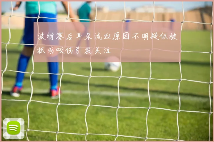 波特赛后耳朵流血原因不明疑似被抓或咬伤引发关注